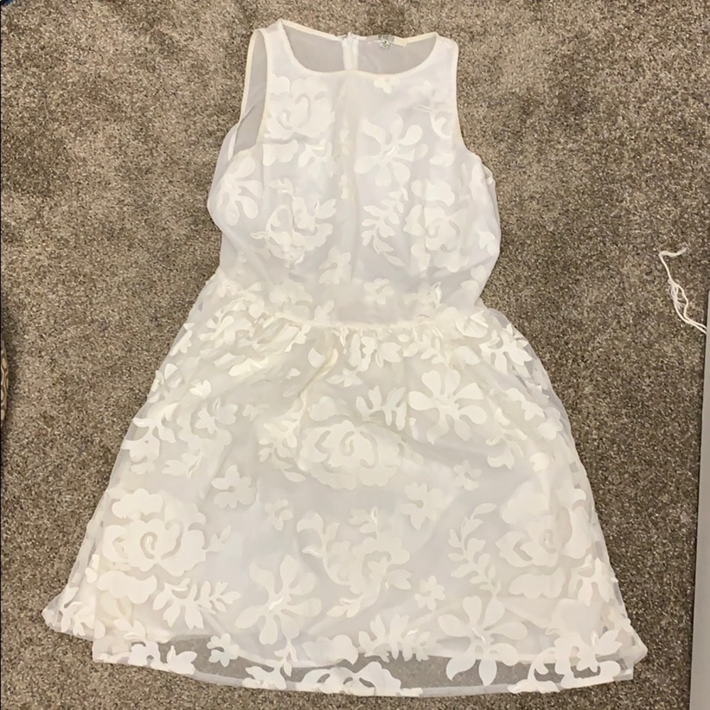 BB Dakota knee length dress